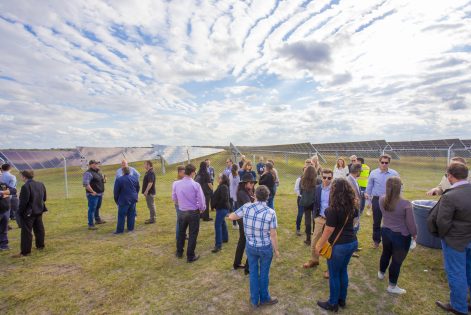 people standing in a field
