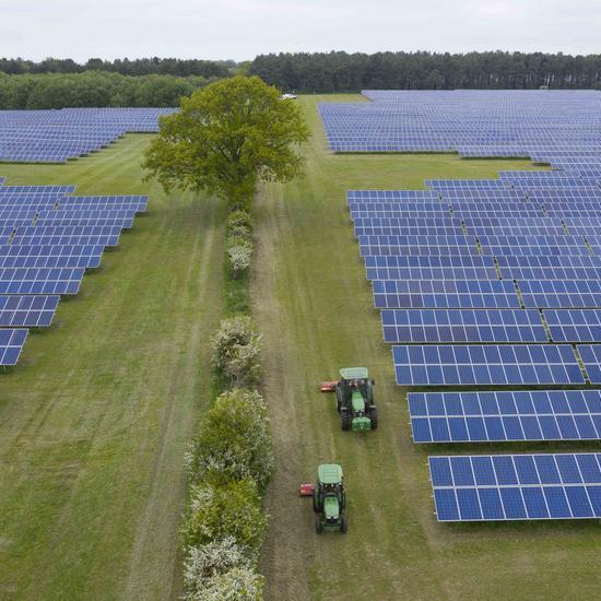 an aerial shot of a solar farm, two fields seperated by a hedge and large tree, two tractors driving alongside the panels