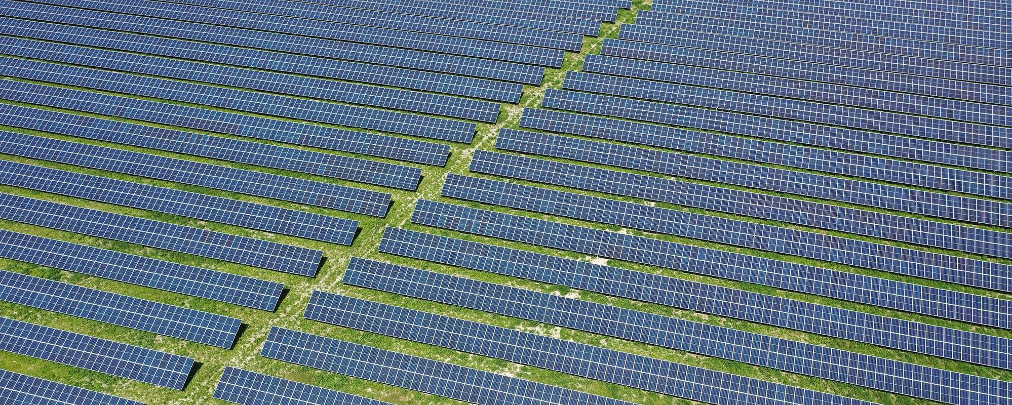 緑豊かな芝生の上に斜めに整然と並べられた多数の青い太陽光パネルを上空からクローズアップした画像。