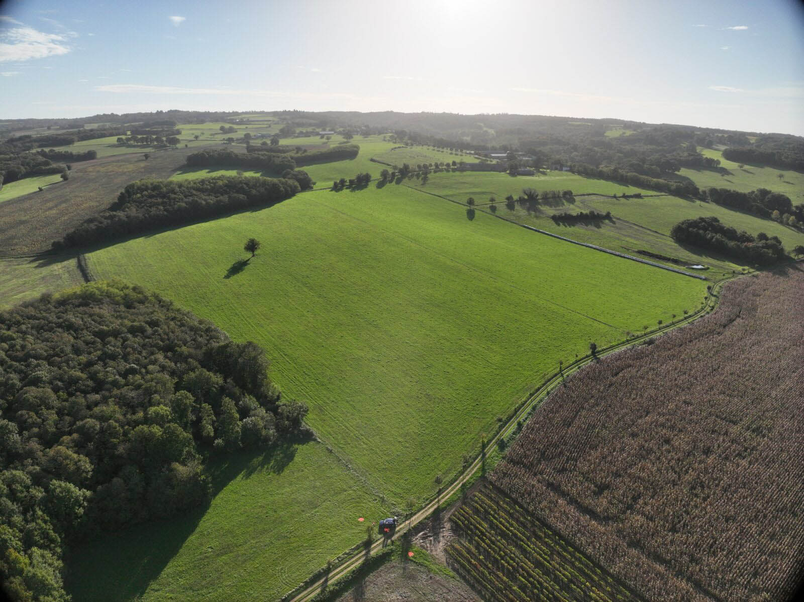 An aerial view of a patchwork of green fields and farmland