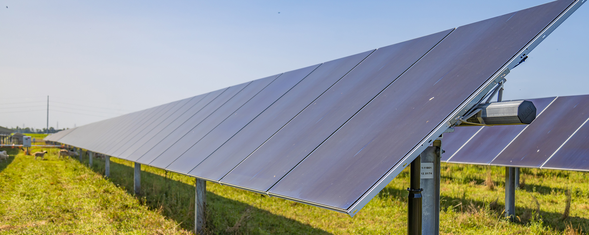 A Lightsource bp solar project basks under a clear blue sky, panels stretch across vibrant green fields, symbolizing clean, reliable energy that helps build a sustainable future for communities and the planet.