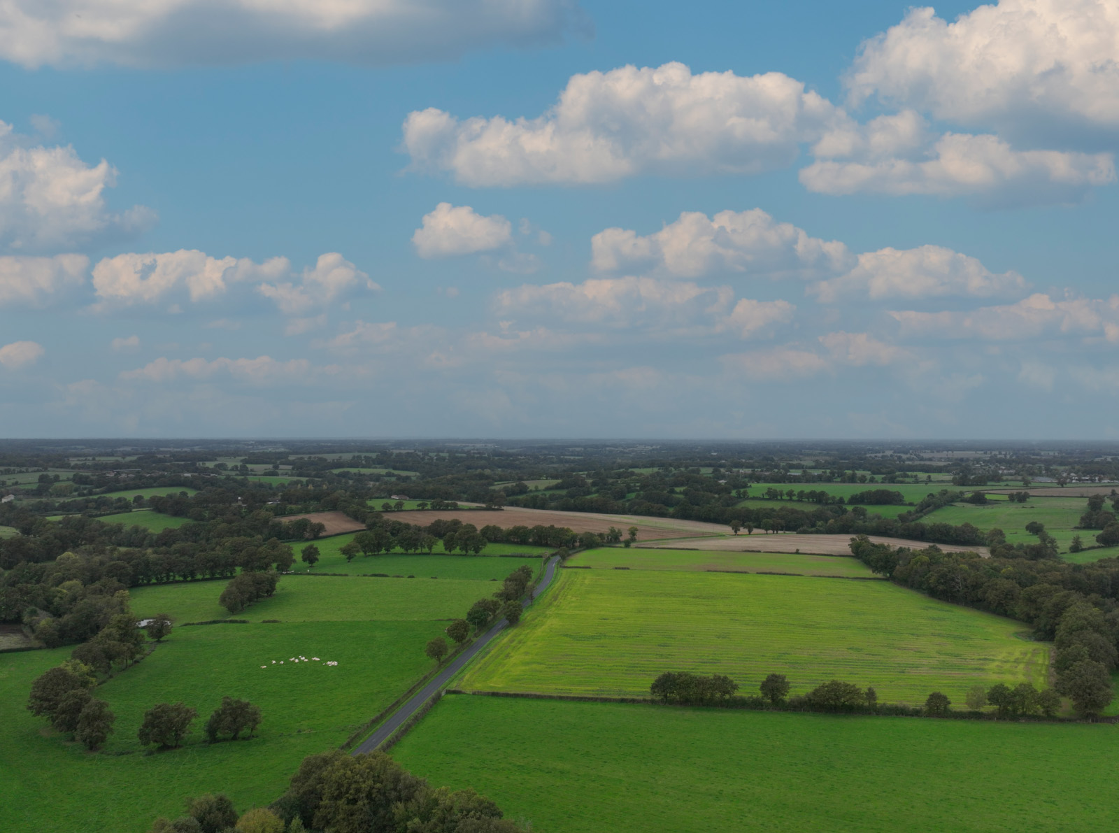 Aerial shot of green fields against a sunny blue sky with clouds
