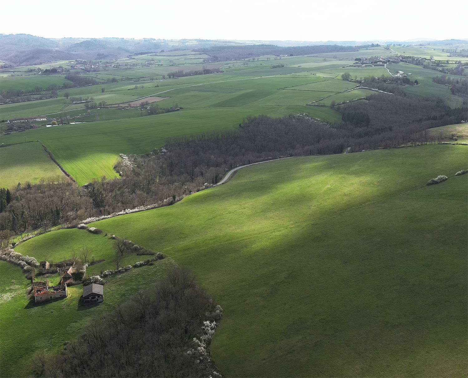 Patchwork of green fields and hedgerows in a flat, temperate farming region.