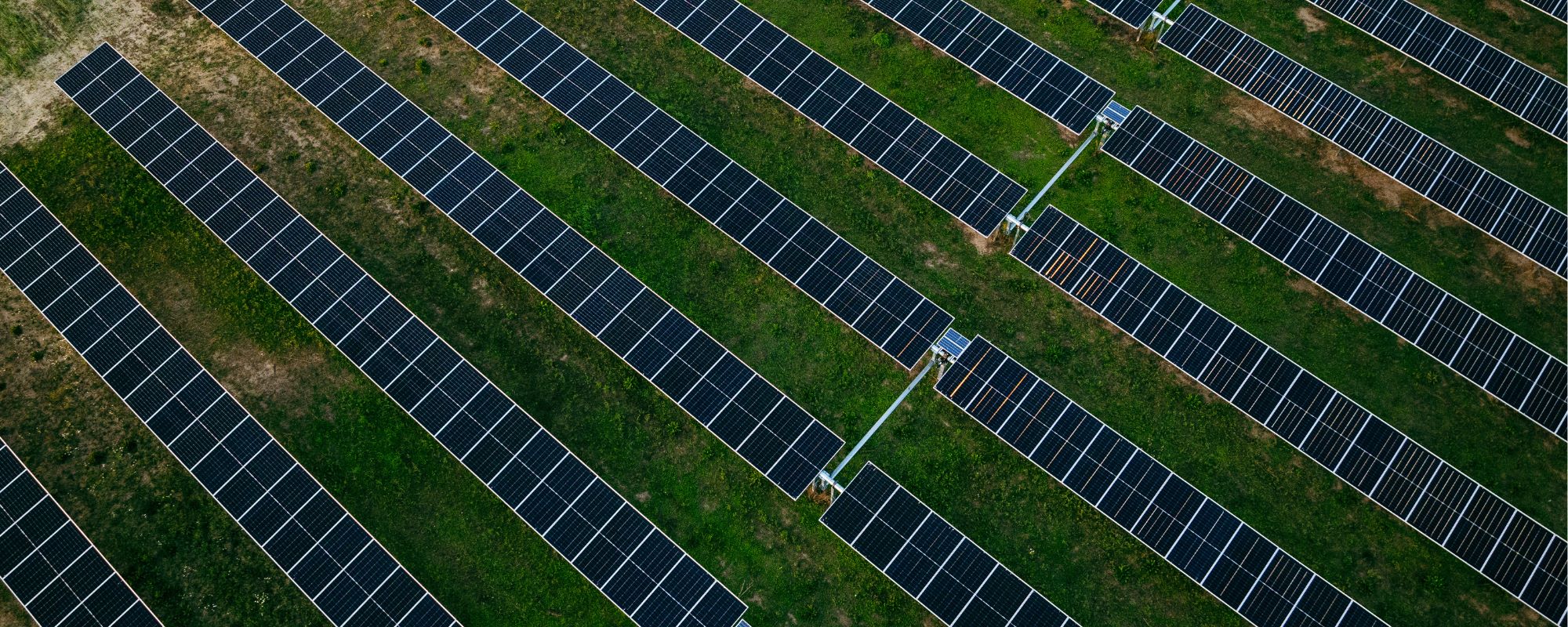 Solar panels in rows