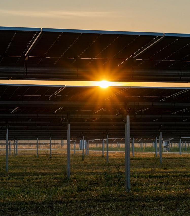 The sun shining brightly through the underside of solar panels mounted above grassy ground during sunset.