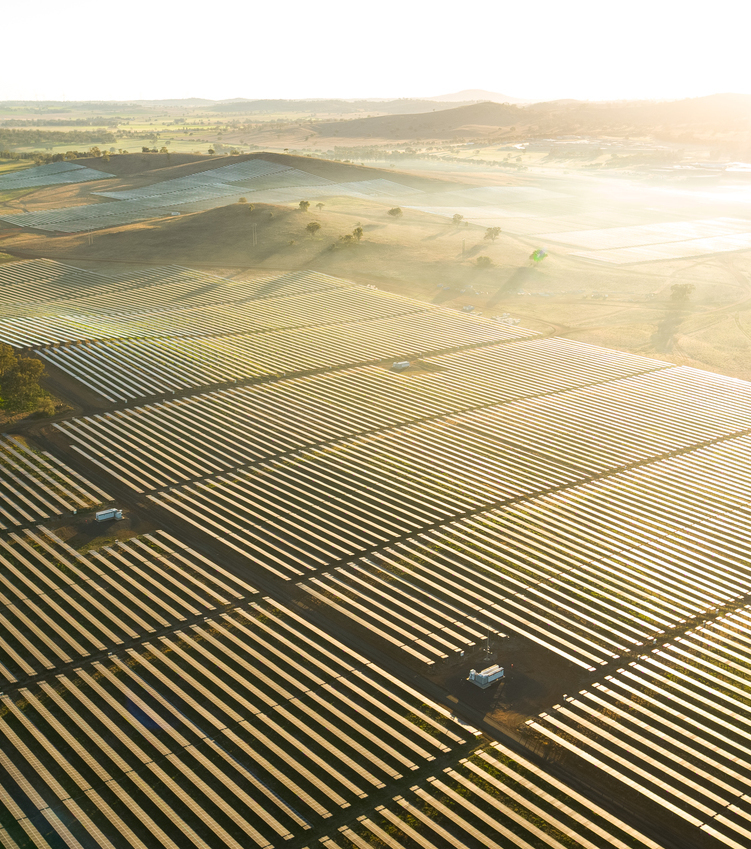 A vast solar farm spread across rolling hills bathed in soft morning sunlight and light mist.