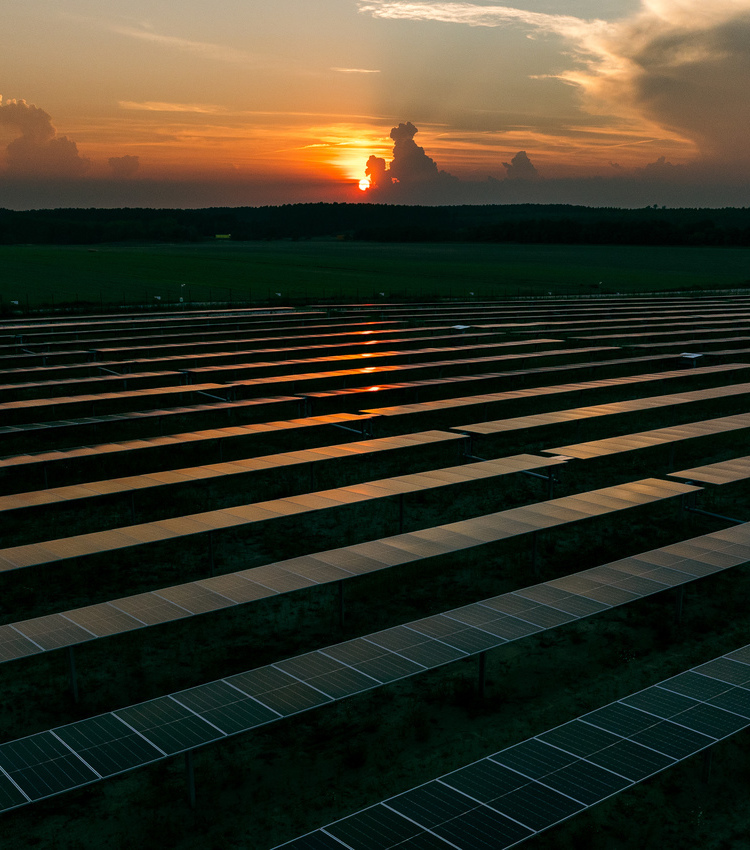 Solar panels reflecting the orange light of the setting sun with a darkening sky.