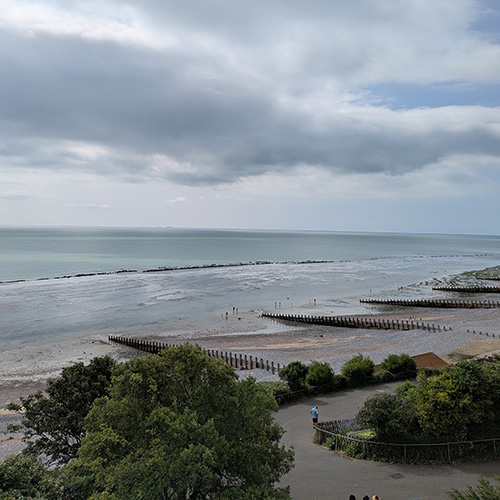 A dog walking away on a grassy path between two fields under a clear blue sky in a countryside setting.