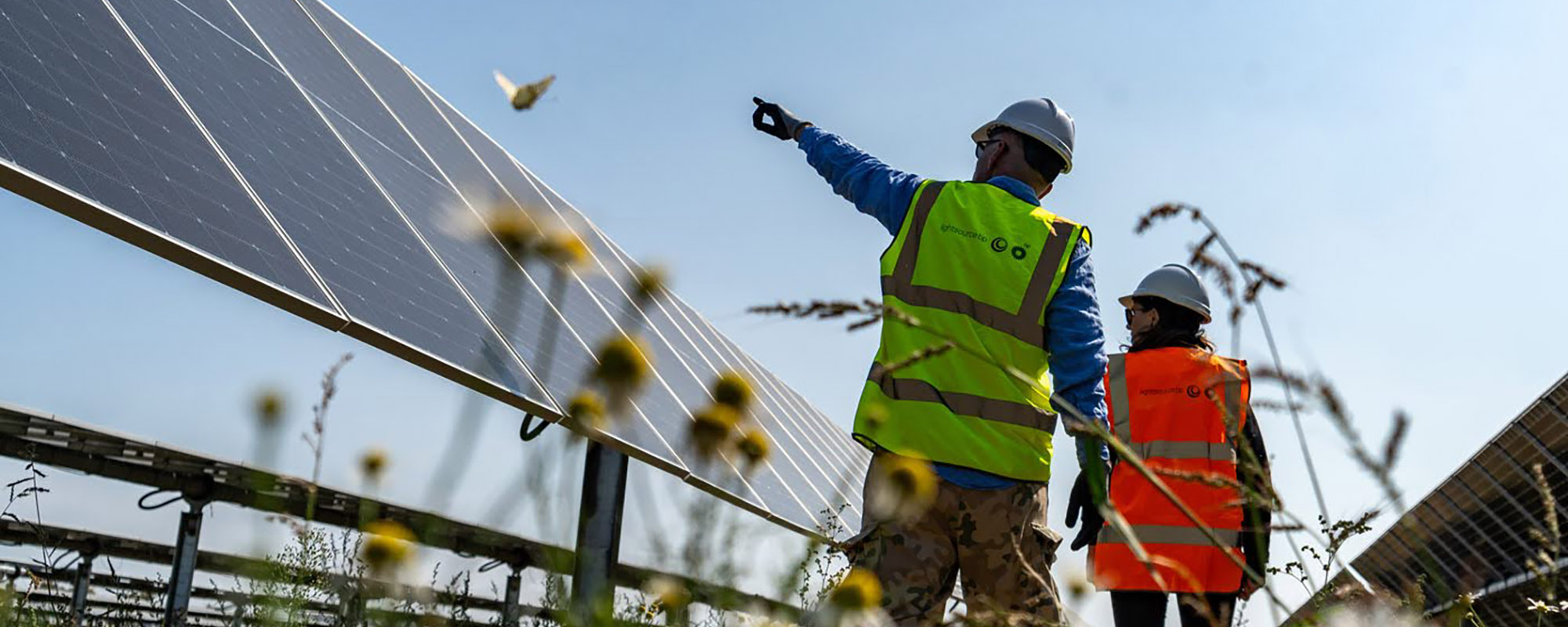 Low angle shot of two workers wearing helmets and high-visibility vests standing beside a row of solar panels, with one worker pointing towards the distance under a clear blue sky. Flowers and a flying insect in the foreground.