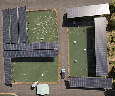 A digital render of floating solar. An aerial view of two rectangular ponds covered partially by solar panels, with solar panels forming roof-like structures over the water.